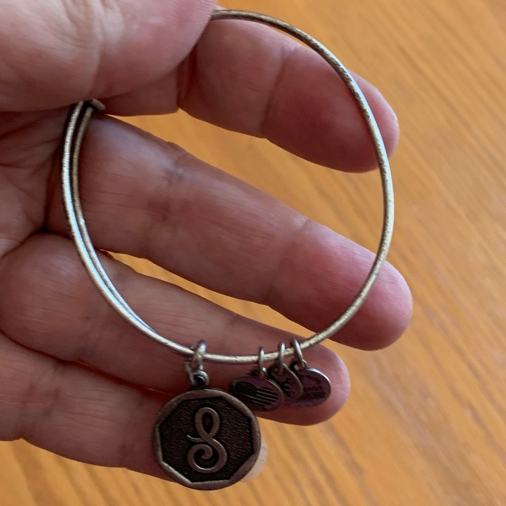 Alex And Ani Initial S Charm Rafaelian Silver Finish Bangle Bracelet
